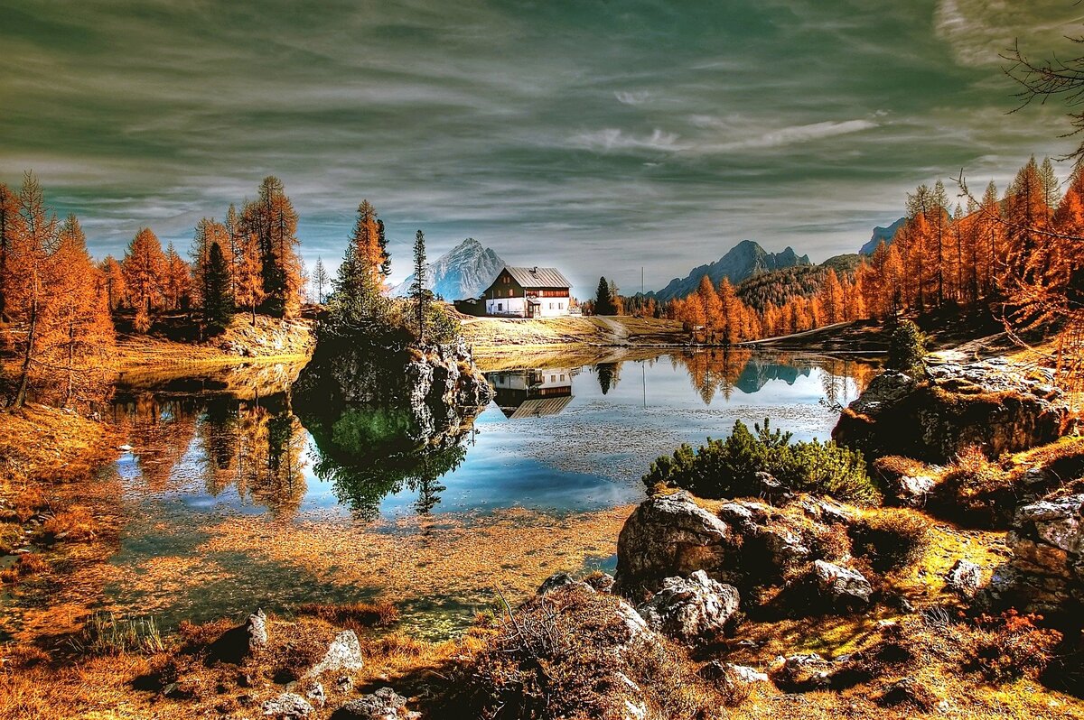Изображение с сайта Pixabay