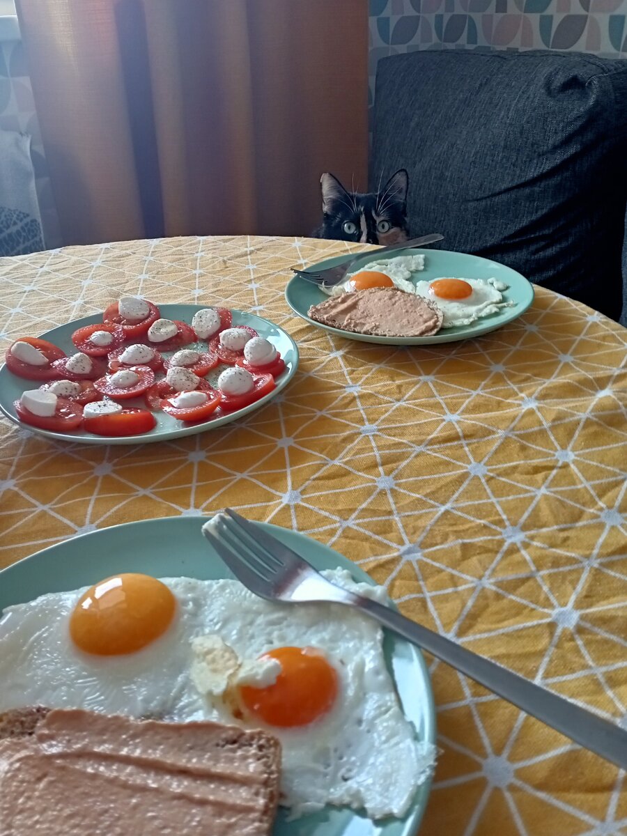 Инспектирую - от меня ни одна перчинка не уйдет