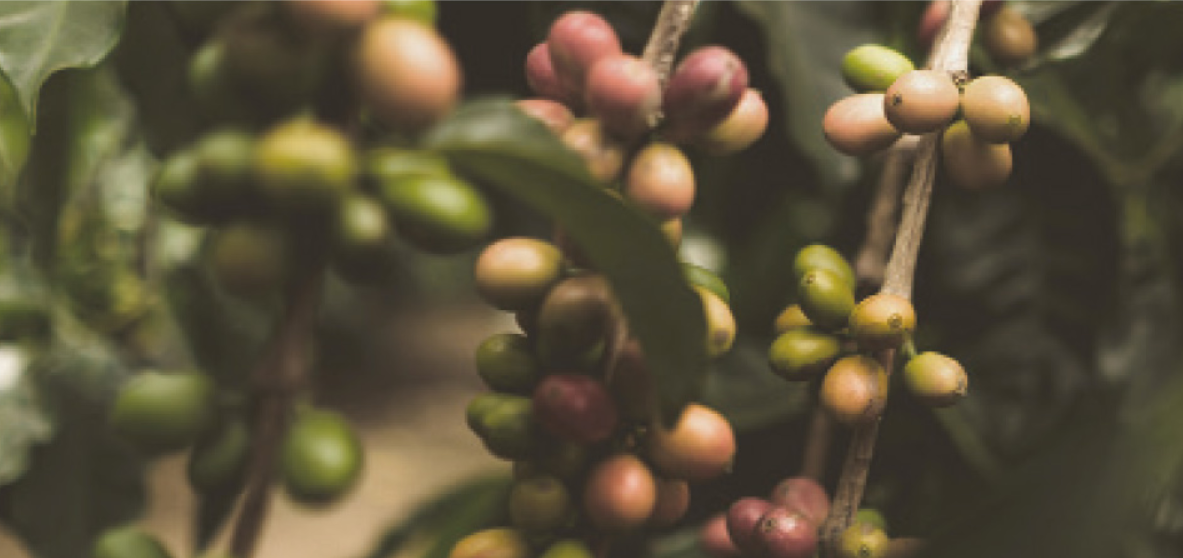 Источник: https://en.beigic.com/