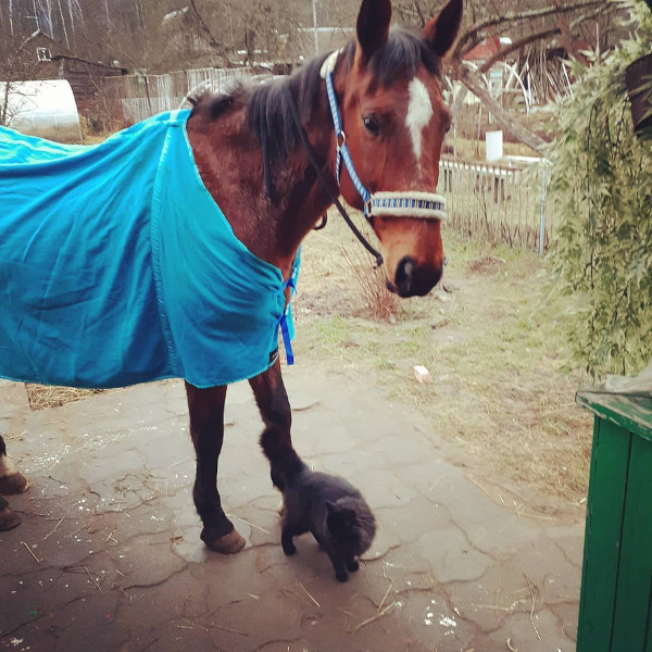 Алик + Нюся
