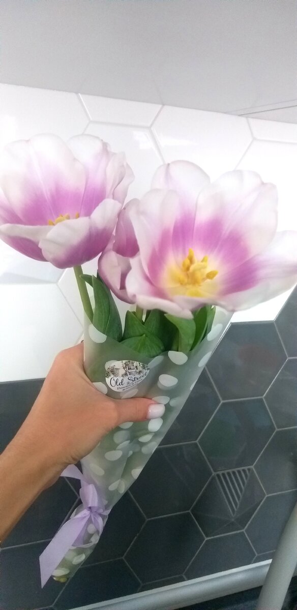 Вот такие цветы мне подарили на работе!