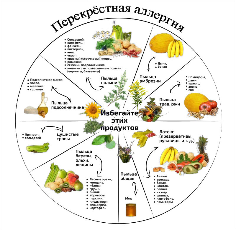 Примеры перекрестной аллергии