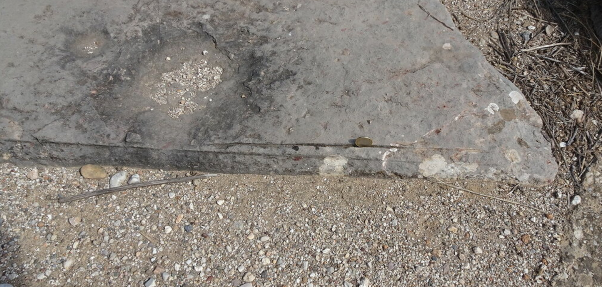 скрин с Яндекс.Диск (альбом ЛАИ)