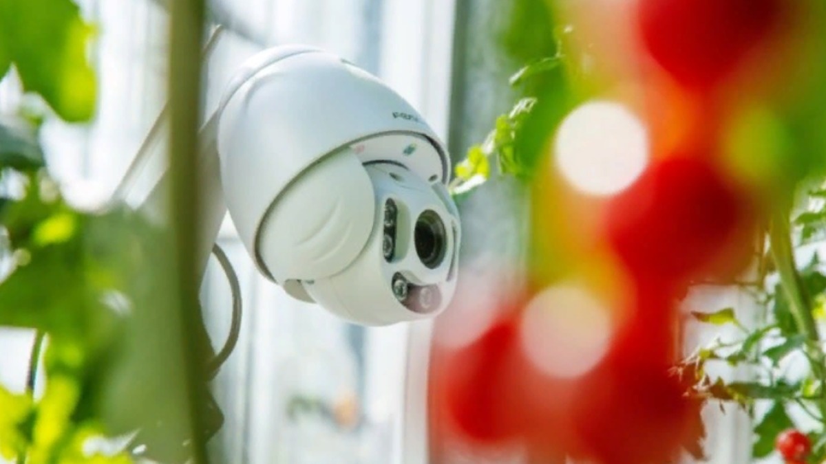 Фото: www.greenhousecanada.com Третий международный конкурс автономных теплиц (International Autonomous Greenhouse Challenge) пройдет в новом формате и с новыми правилами для участников.
