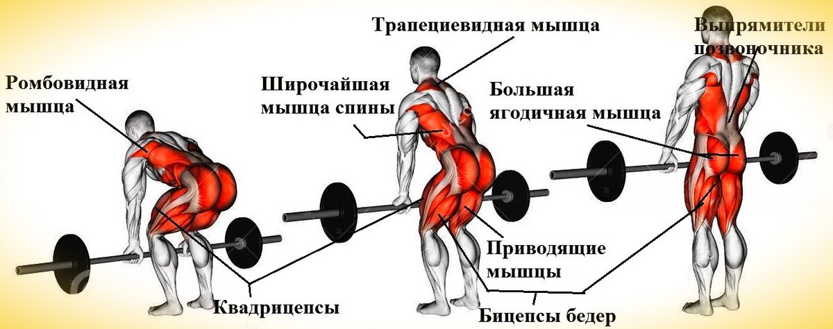 Становая тяга - одно из базовых упражнений