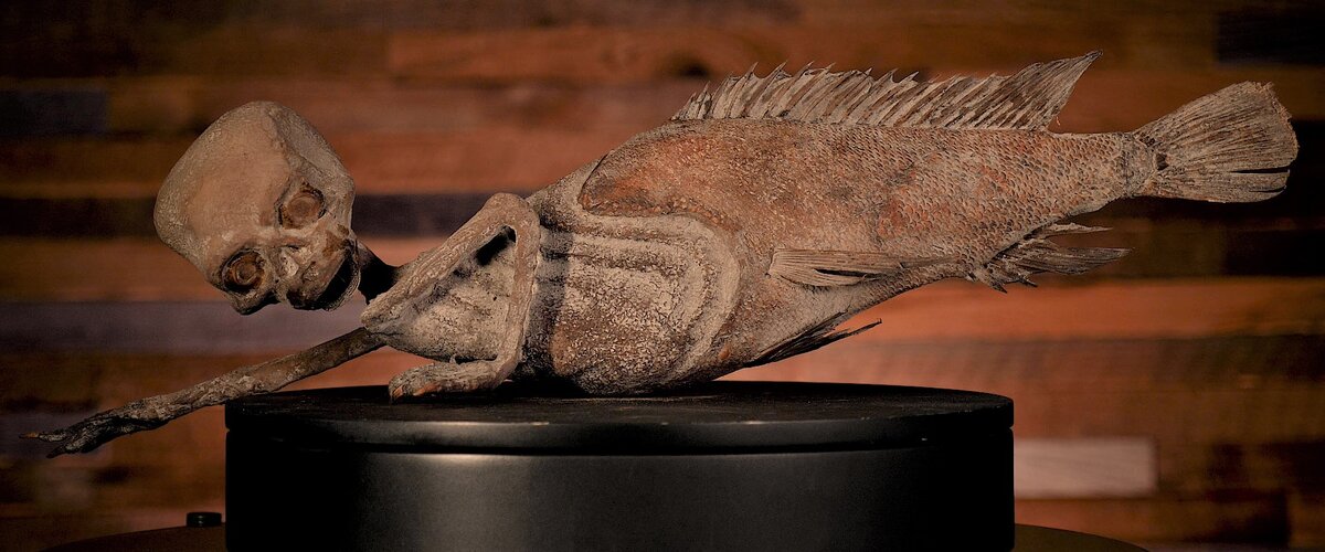 Ну, согласитесь, нелепый лещ с руками и черепом