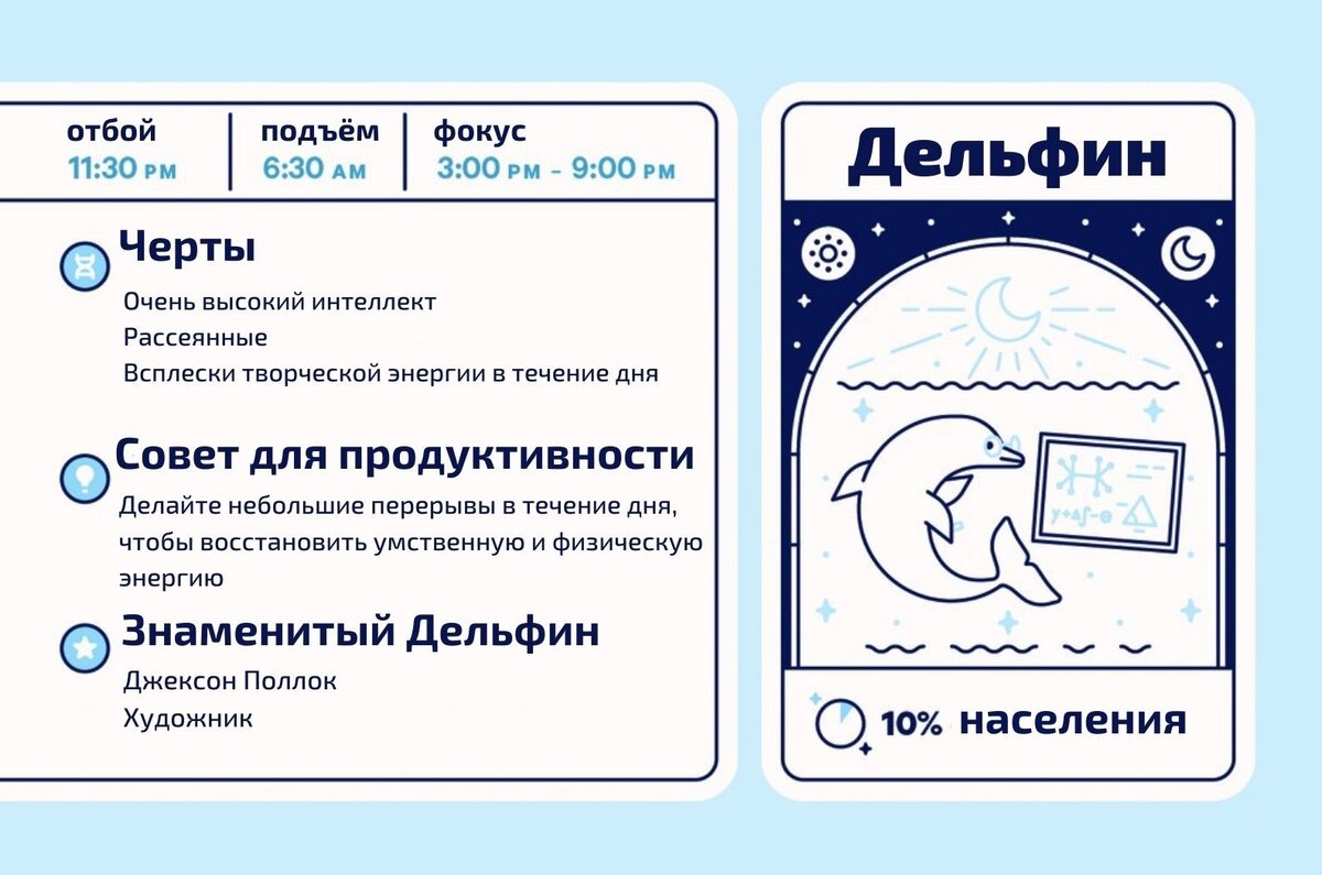 Какой у вас хронотип: лев, дельфин, волк или медведь? | Будет сделано! |  Дзен