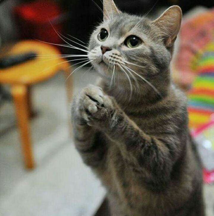 Ваша ценность - это главное оружие. Остальное лишь инструменты. 