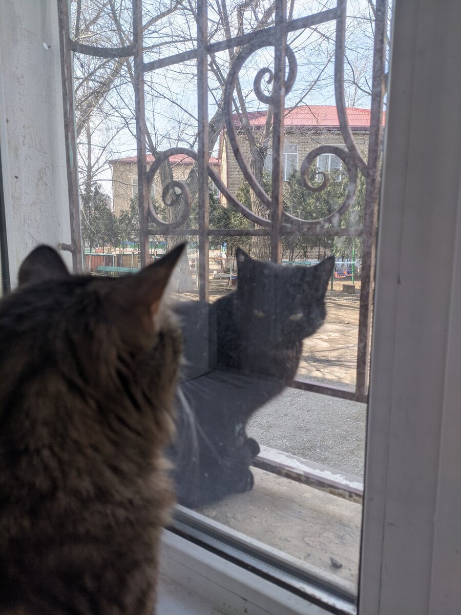 Почему у большинства людей отсутствует логика и здравый смысл ? Что наводит , людей на мысль , что одни правы а другие нет ? Кто наставляет эти приоритеты и зачем людям эти стереотипы ? Почему одна группа людей умело управляют массами а эти массы ведутся на эти манипуляции . Люди , пользуйтесь мозгами , ибо ни кому не дано манипулировать людским сознанием , а кто это делает заслуживает права быть наказанным . 