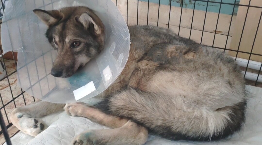  ее впору назвать  Снежная королева 