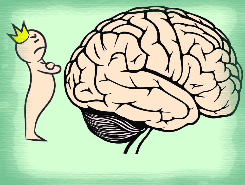 Brain 63. Мозг и его потребности. Эгоцентрик лого.