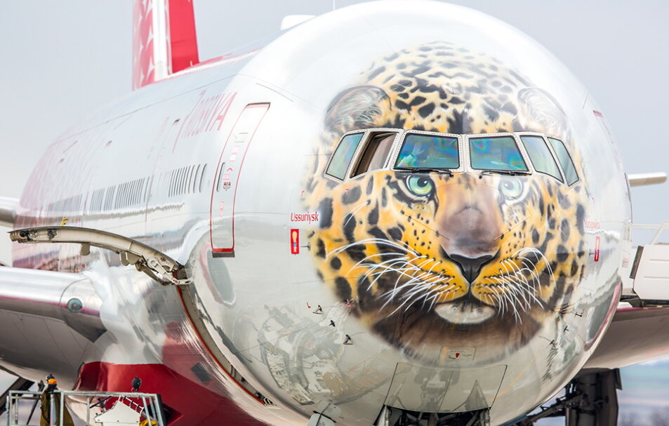 Nose art