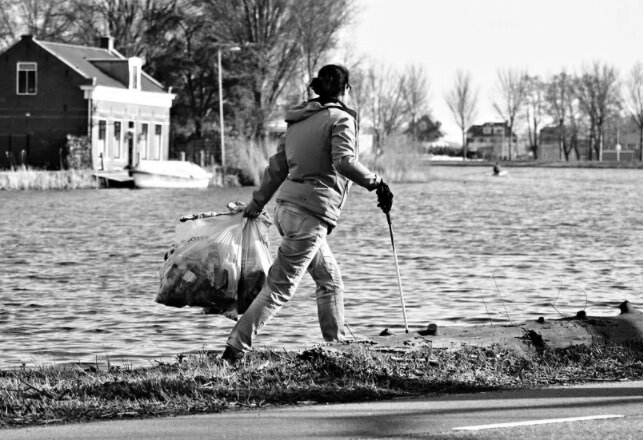 Скорее так. Фото: pixabay.com