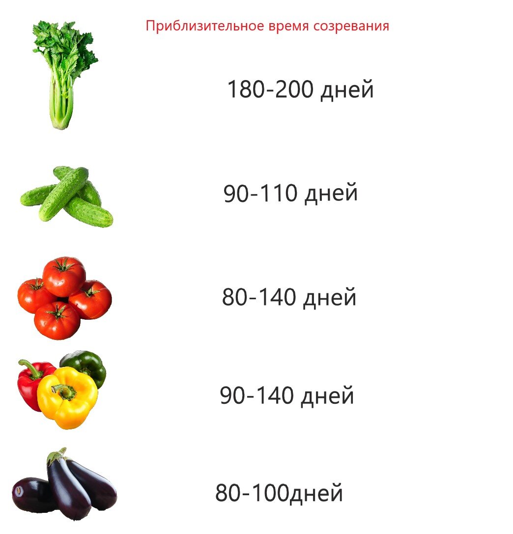 В зависимости от сорта,  климата и других факторов, данные могут различаться.