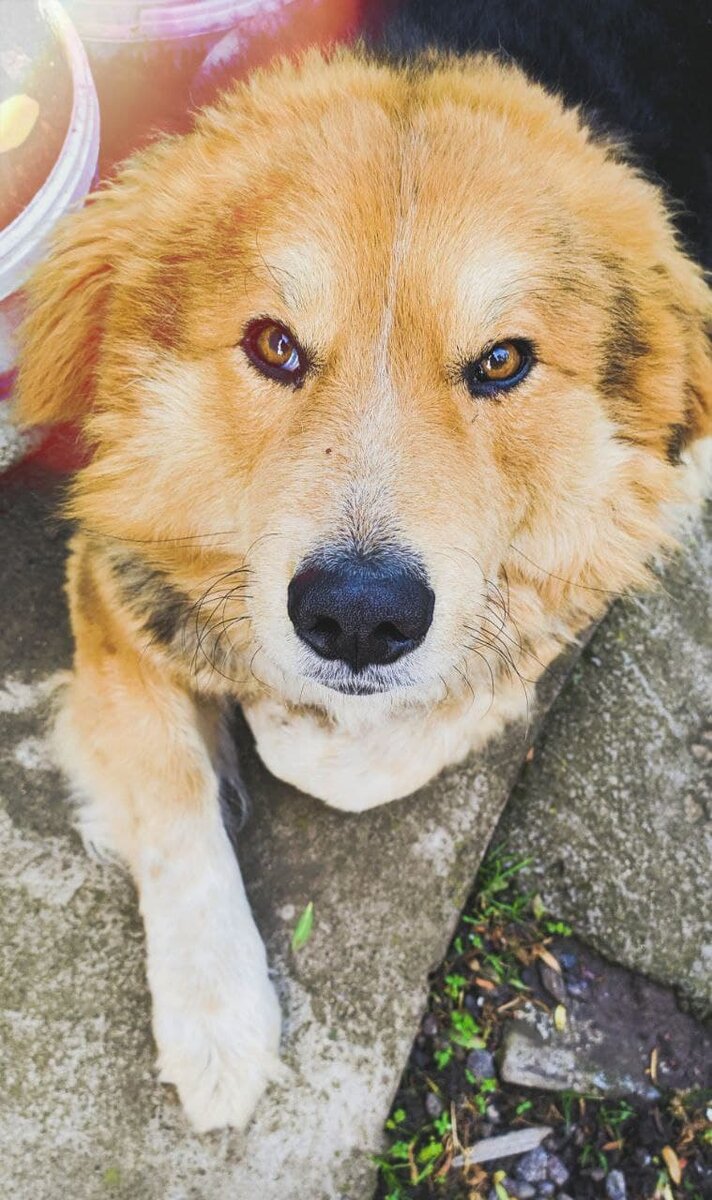 Этот нос - отдельная тема