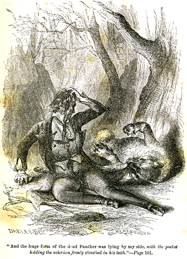 Иллюстрация из книги Льюиса "Болотный доктор", результат неожиданной встречи с пантерой