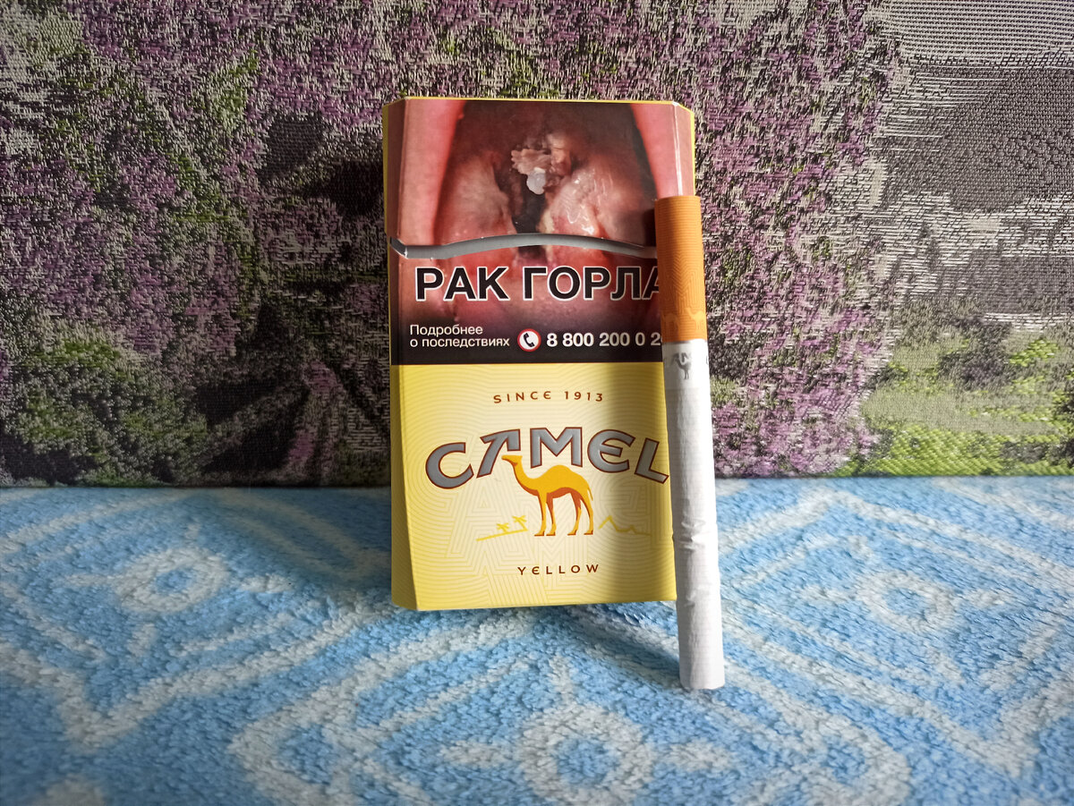Camel какие вкусы. Camel Yellow сигареты. Camel желтый компакт. Сигареты Camel Compact 100. Пачка сигарет кэмел желтый.