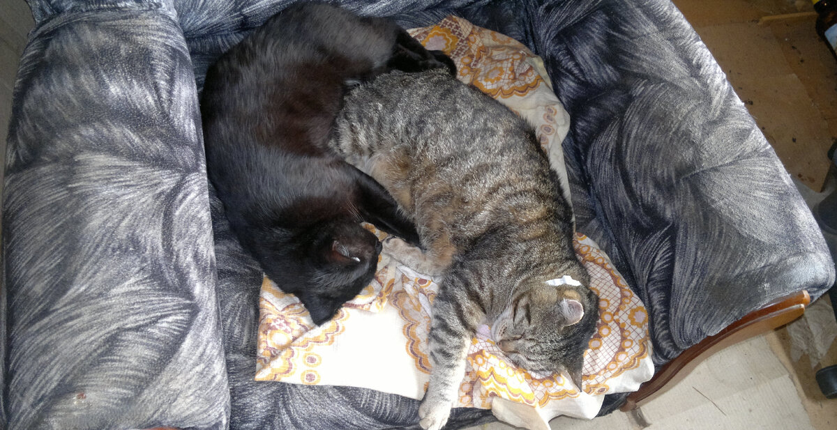 Фото автора