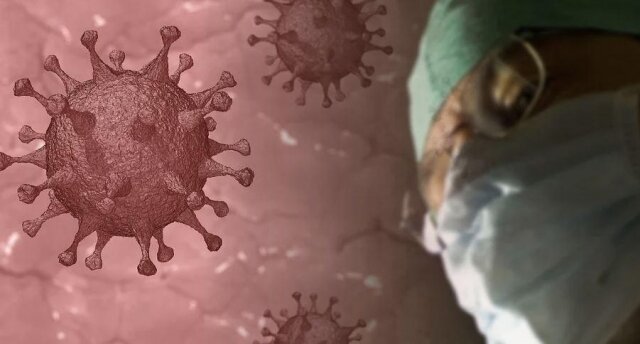 Короновирус Pixabay.com