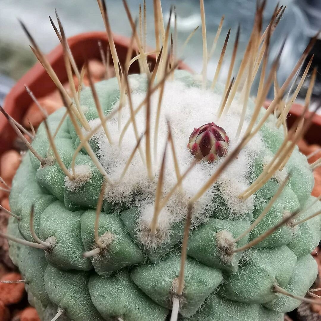 instagram.com/nickolasvanorton