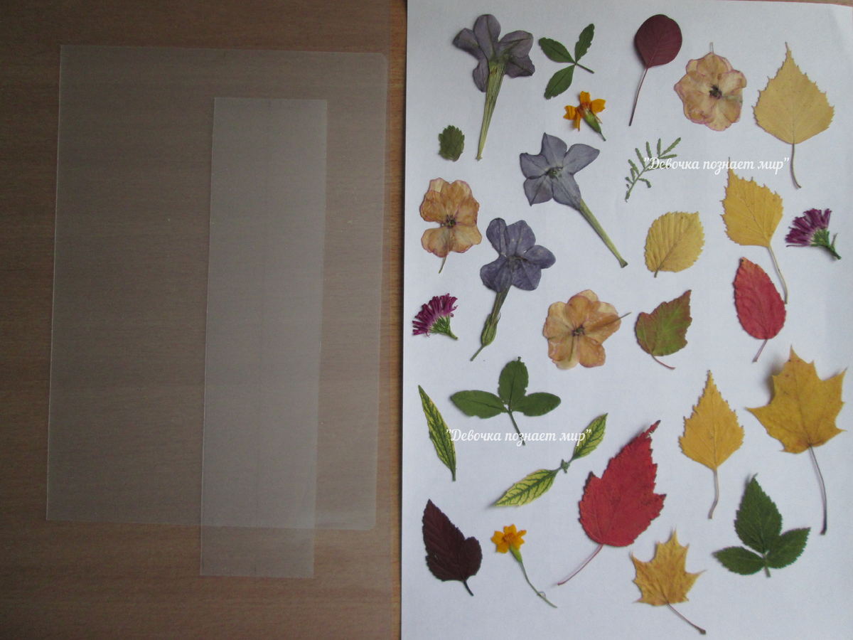 Подготавливаем листы и материалы для закладок / фото автора