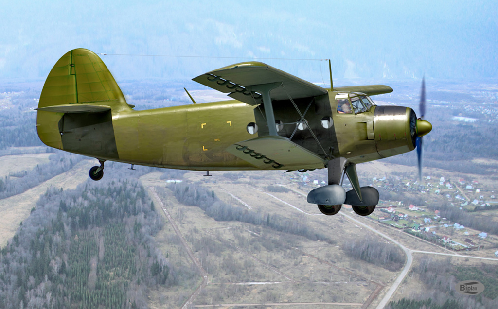 Вариант самолета СХ-1 (СХА) с двигателем АШ-21 © Александр Юрьевич Архипов