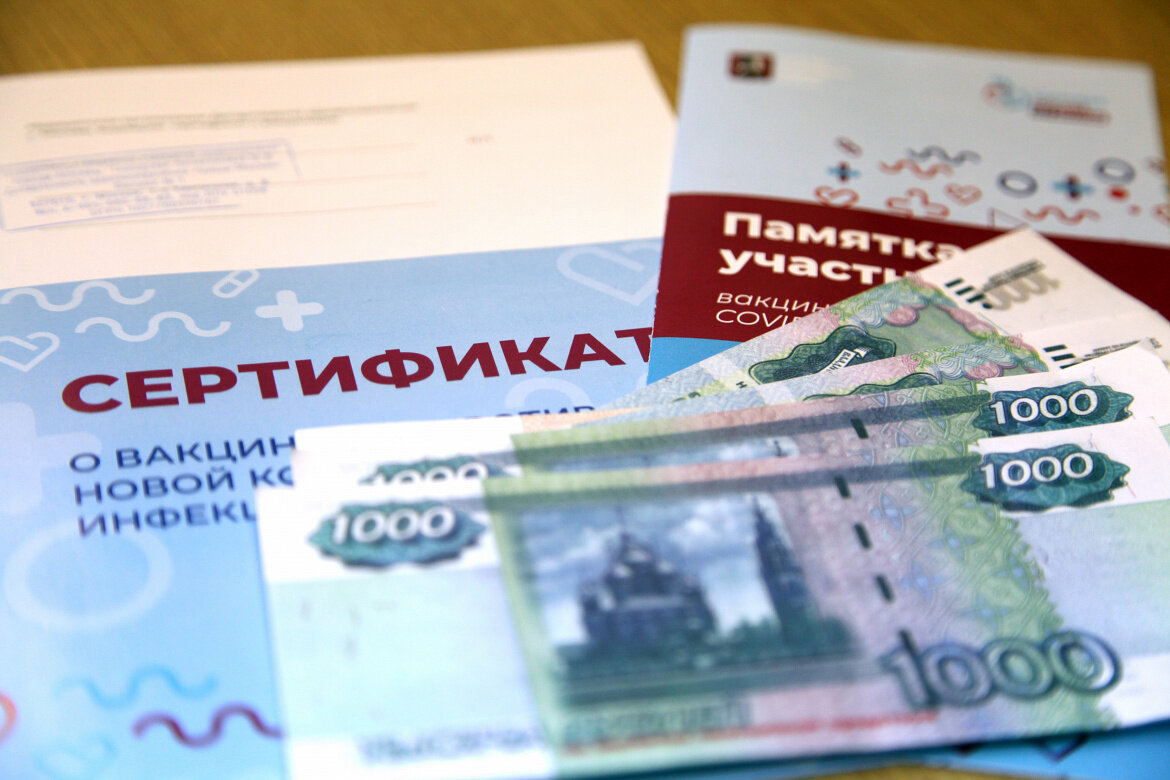 Поддельный документ. Фото: МВД-медиа