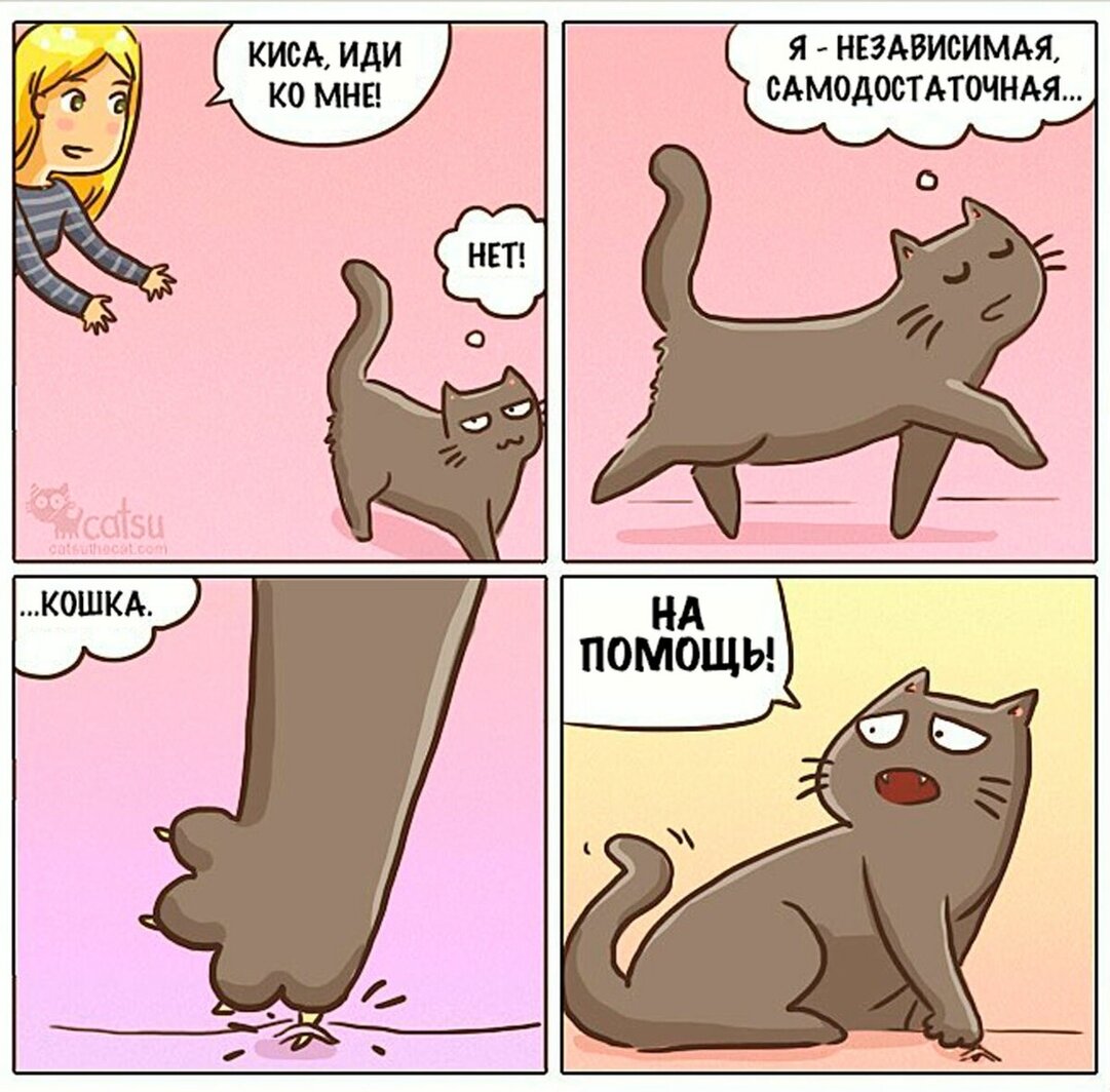 Смешные комиксы про кошек