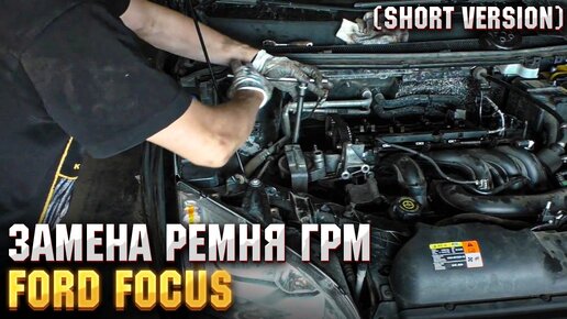 Ремень ГРМ - Ford Focus 2