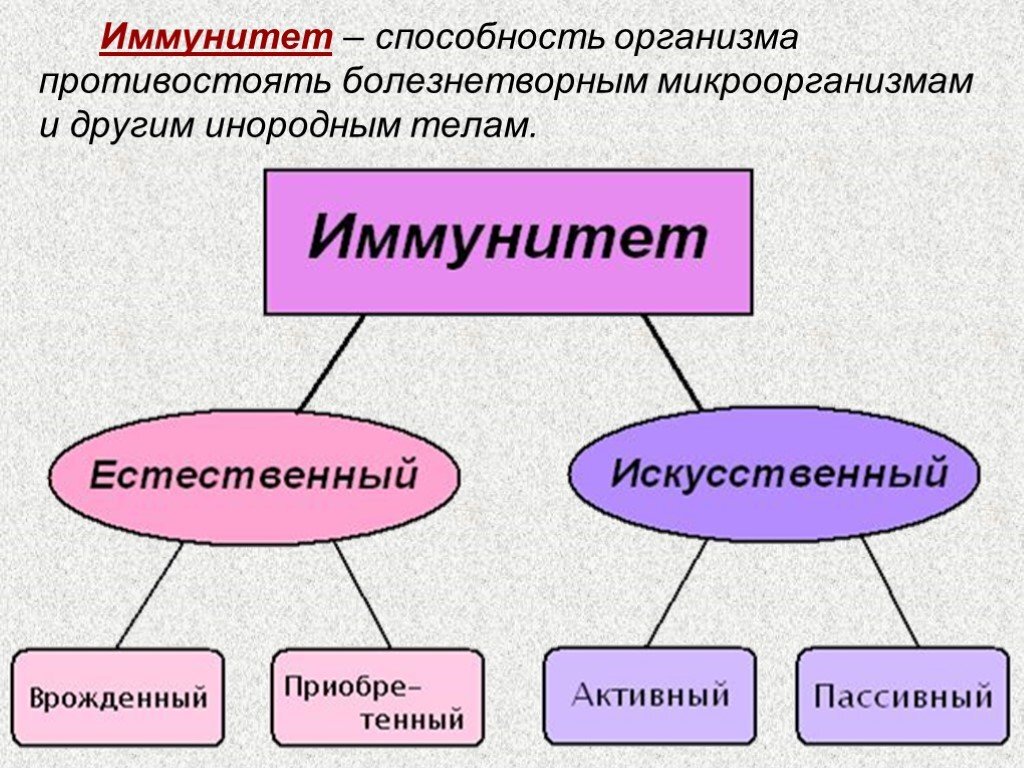 Пассивный иммунитет тест