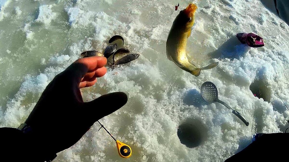 Прикормки для зимней рыбалки
