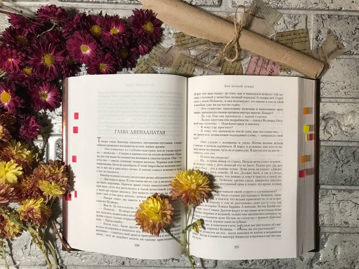 800 стр. (усл. печ. л. 50)