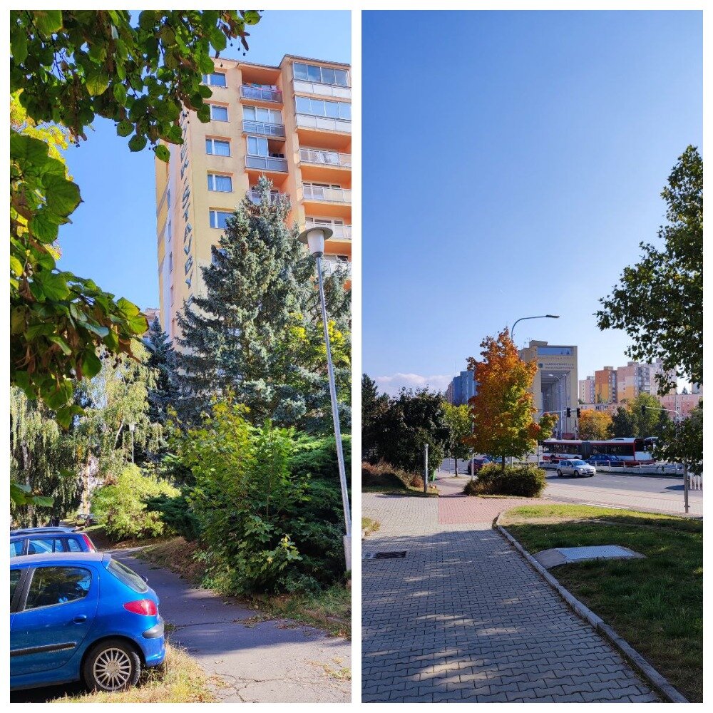 Фото автора: панельные дома, сентябрь 2021