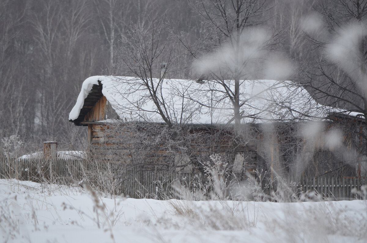 Деревня. Фото автора