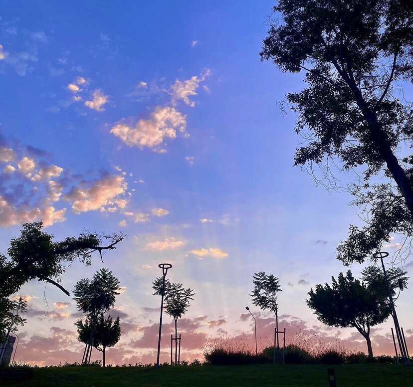 Парк на закате вечером 