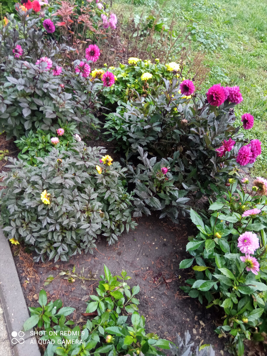 фото личное 