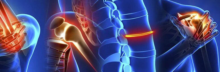 Травматология и ортопедия: главные задачи и в чём отличия 