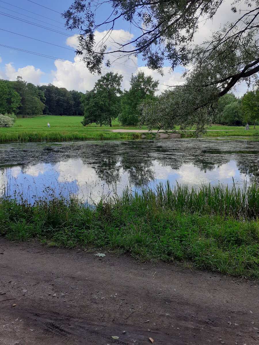 Нижний парк.