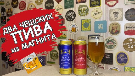 Два новых импортных пива Zlata Koruna из Магнита