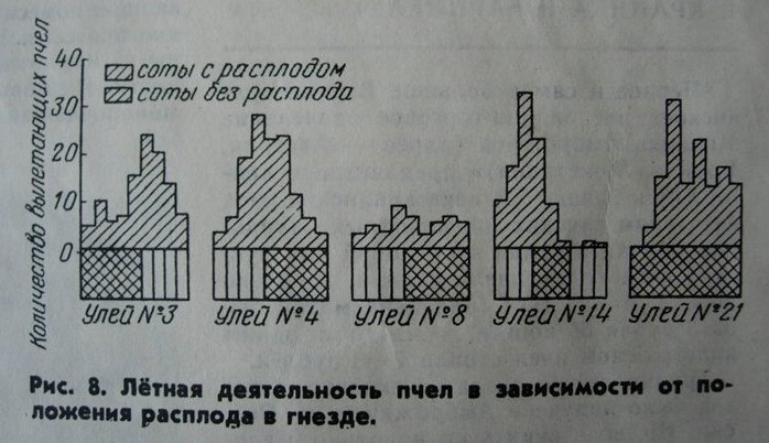 Выбираем улей вместе!