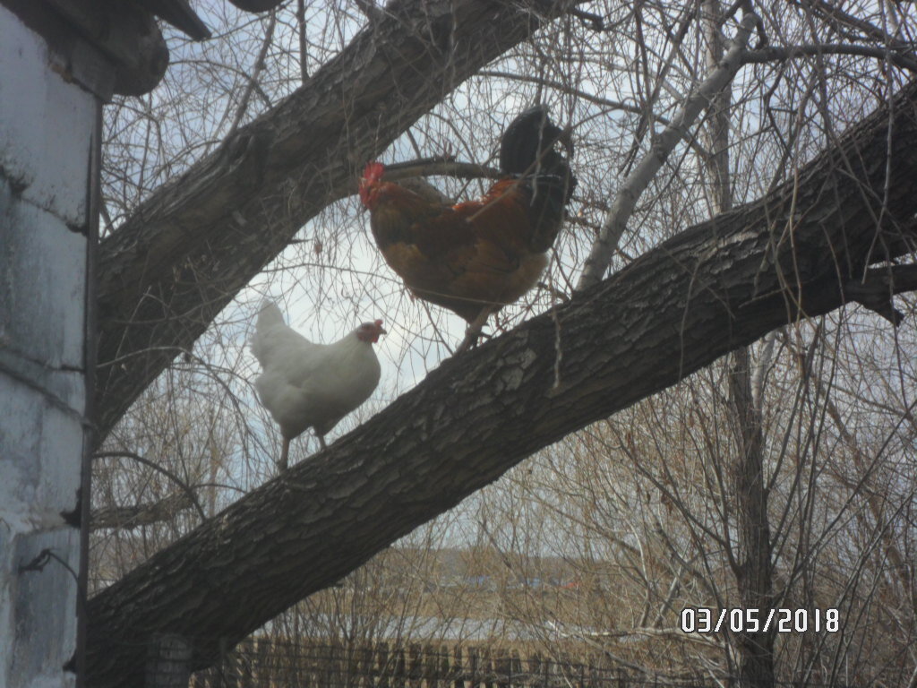 Наш Петя любит назначать свидания в таких экзотических местах.