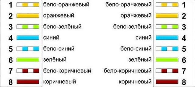 Как обжать витую пару | Обжим витой пары за 3 шага