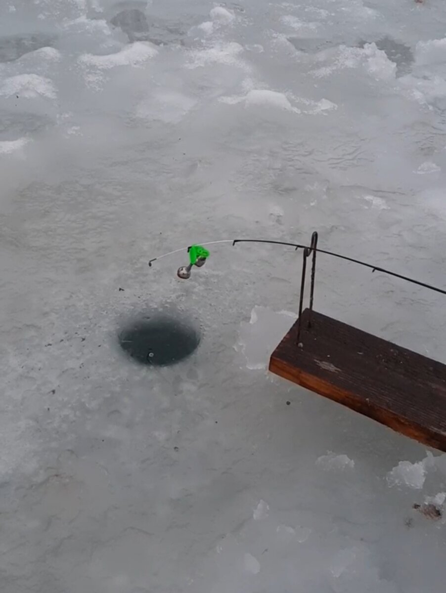 Удочка с квивертипом. 