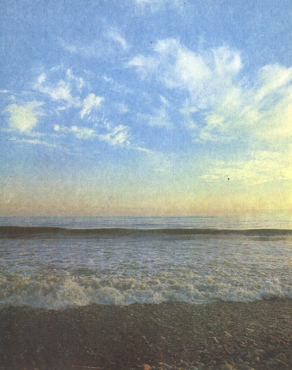 Азовское море славится своими рыбными богатствами.