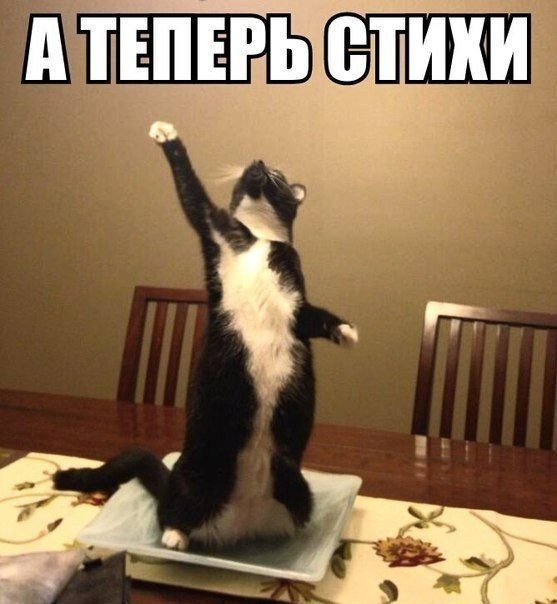 взято из свободных источников