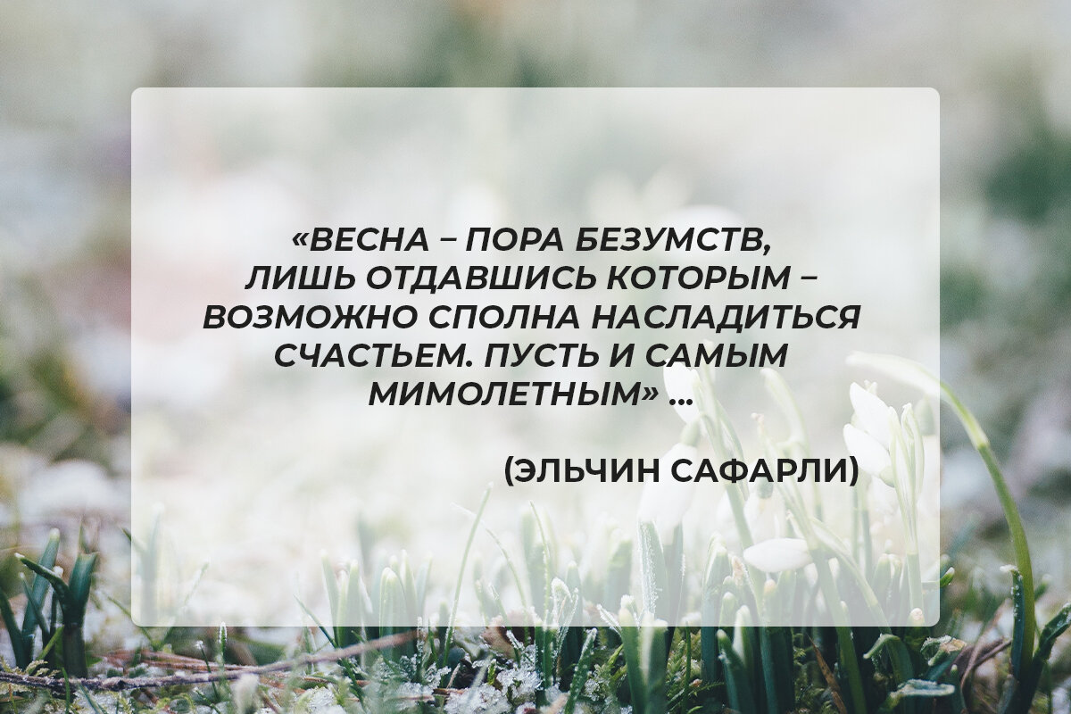 Весенний ветер несет запах счастья. Цитаты и афоризмы про весну