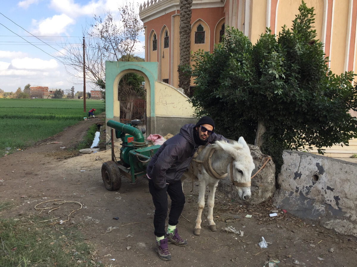 Отдыхаем с осликом