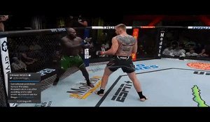 Концовка боя Волков vs Розенструйк