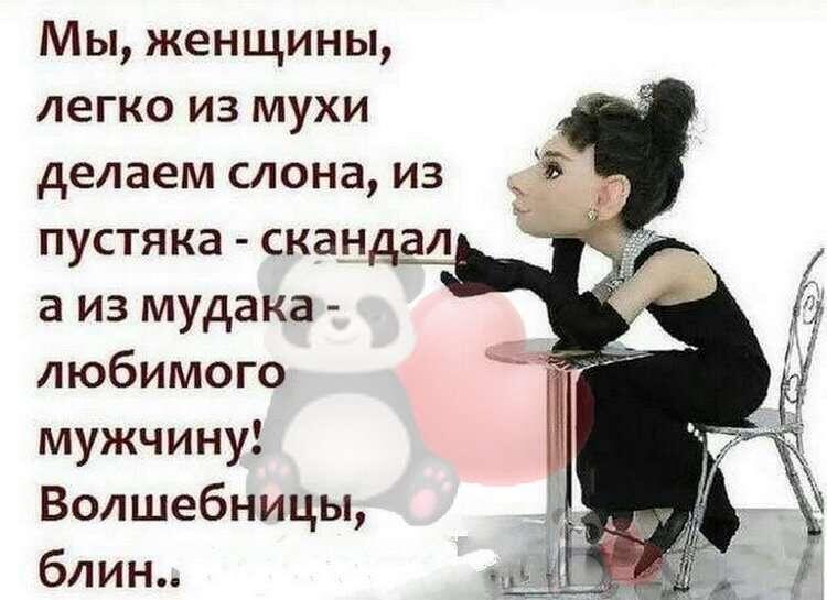 Картинка с сайта binokl.cc