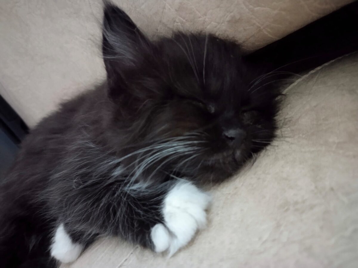 Фото ребенка